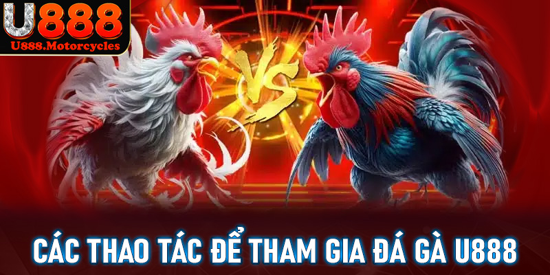 Cụ thể các thao tác đơn giản để tham gia đặt cược đá gà tại u888